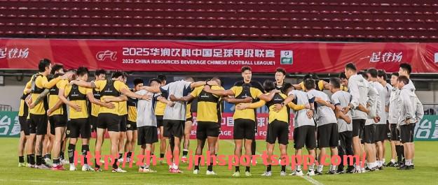 金年会app-德甲球队国旗高清图片及球队文化背景解读