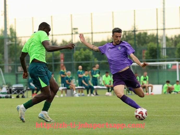 金年会app-德甲降级球队最新名单及历史表现分析