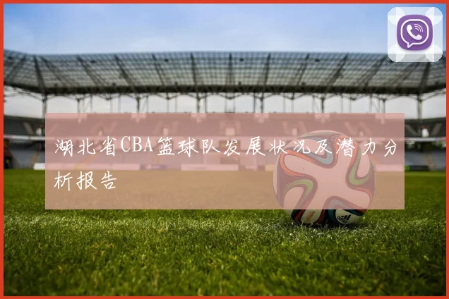 湖北省CBA篮球队发展状况及潜力分析报告