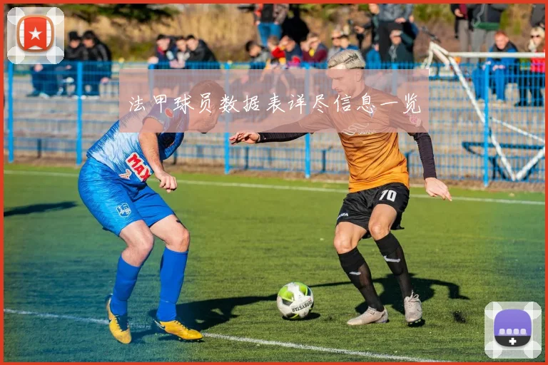 法甲球员数据表详尽信息一览