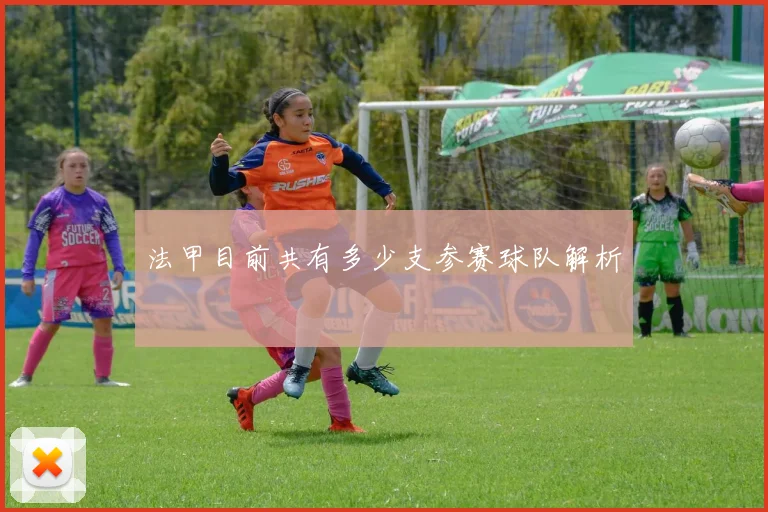 法甲目前共有多少支参赛球队解析
