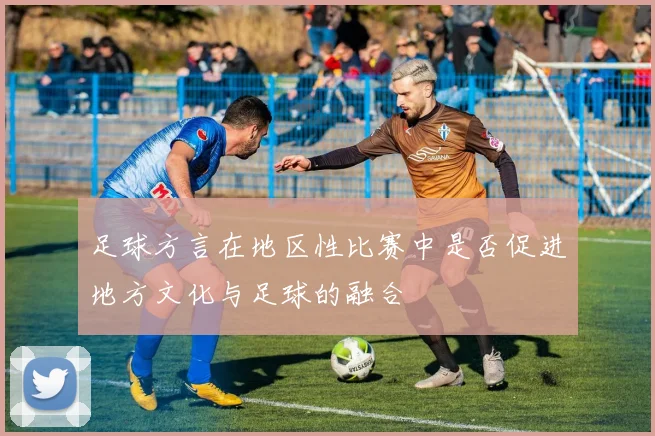 足球方言在地区性比赛中是否促进地方文化与足球的融合